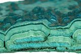 Teal Botryoidal Chrysocolla and Malachite - Chile #310144-1